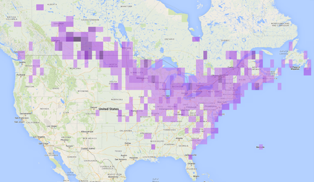 Map of Snowy Owl Locations in Winter 2013-2014
