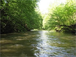 Little Schuylkill River