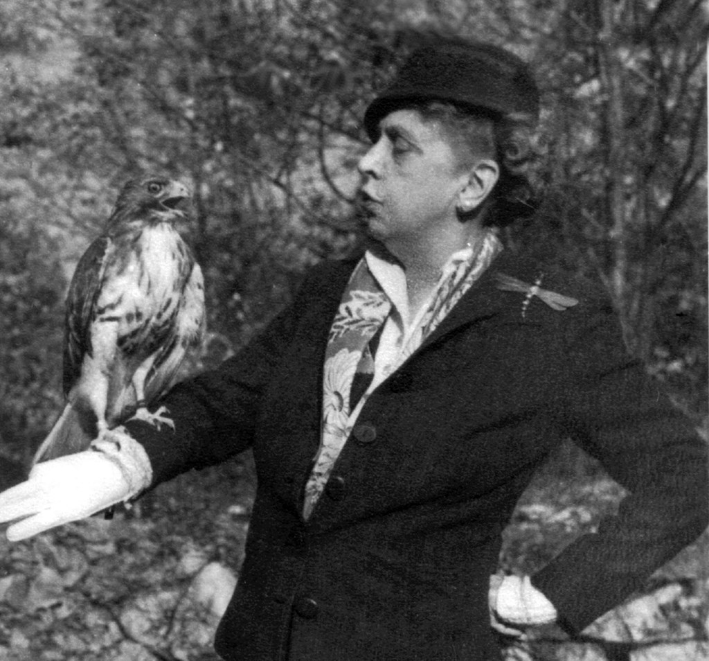 Rosalie Edge with Hawk Rosalie Edge with Hawk