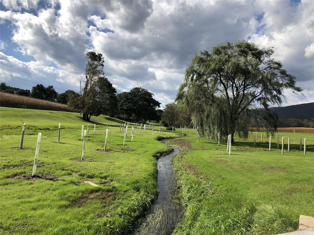 Riparian restoration photo by Stroud Water Research Center