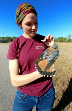 Kirsten with American kestrel
