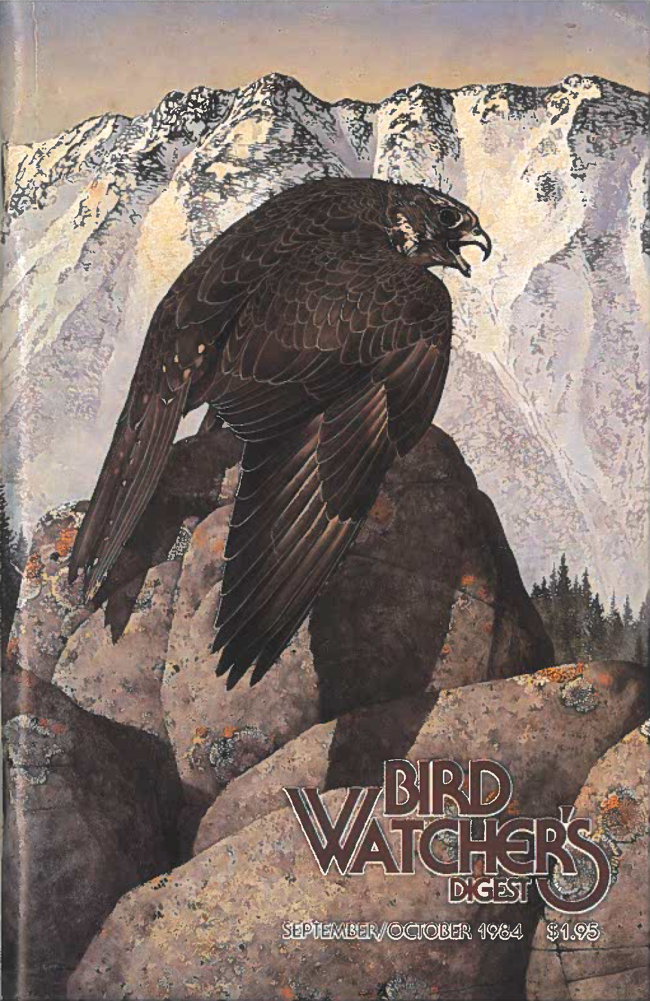 A scan of the cover of Bird Watchers Digest, 1984