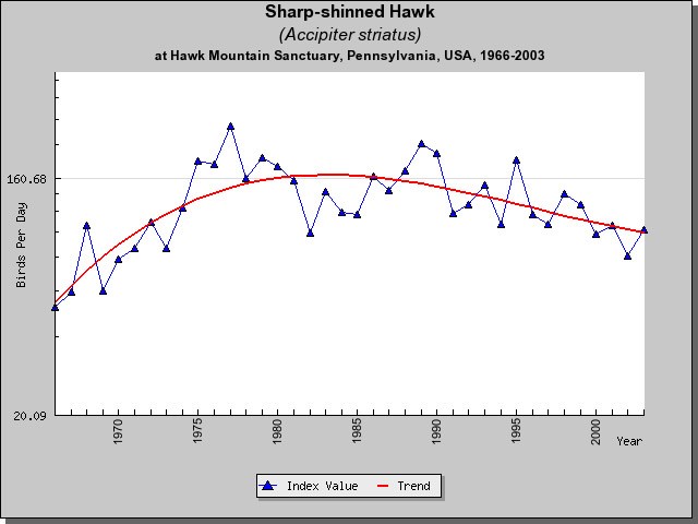 Sharp-shinned HM Sightings