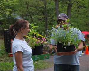 Spring Native Plant Sale