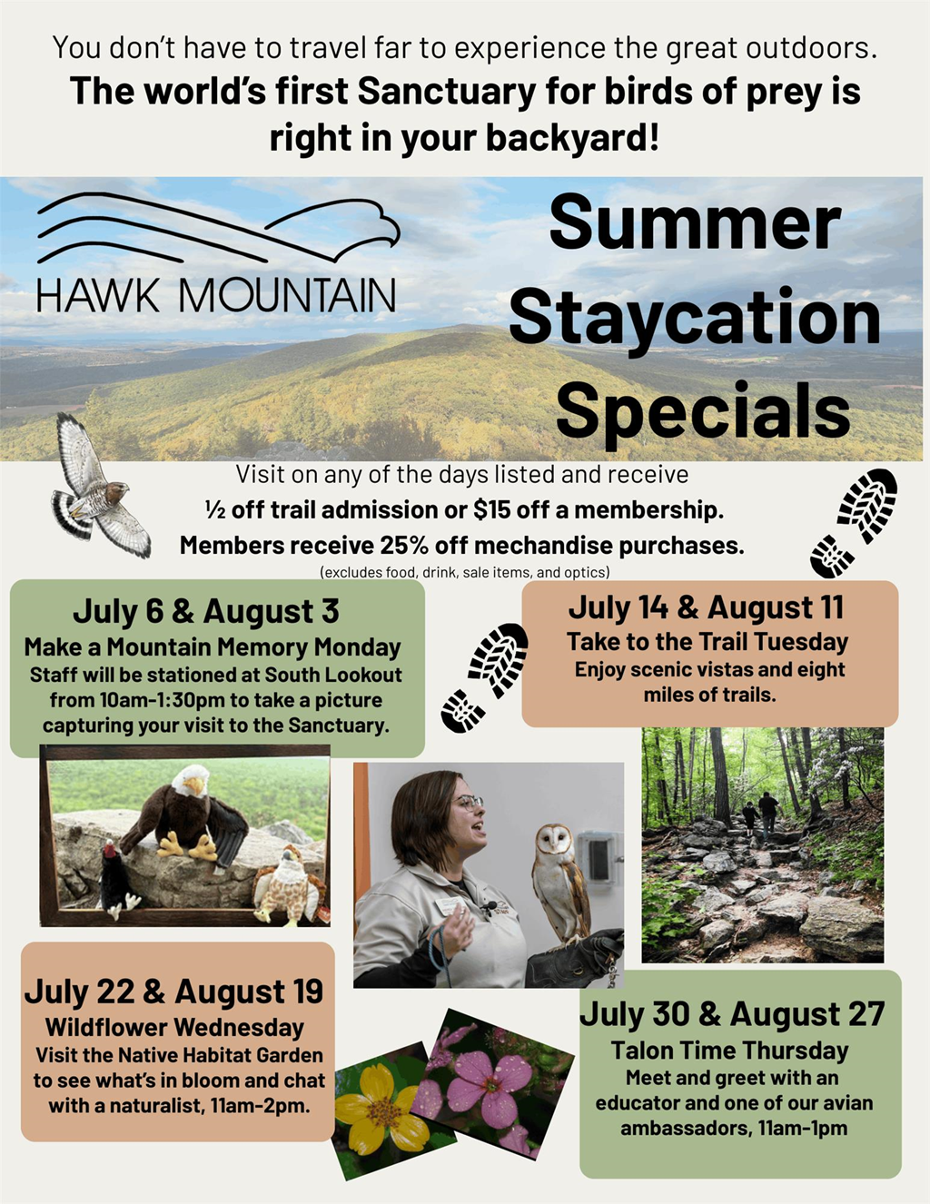 Summer Staycation Specials 2026 flyer