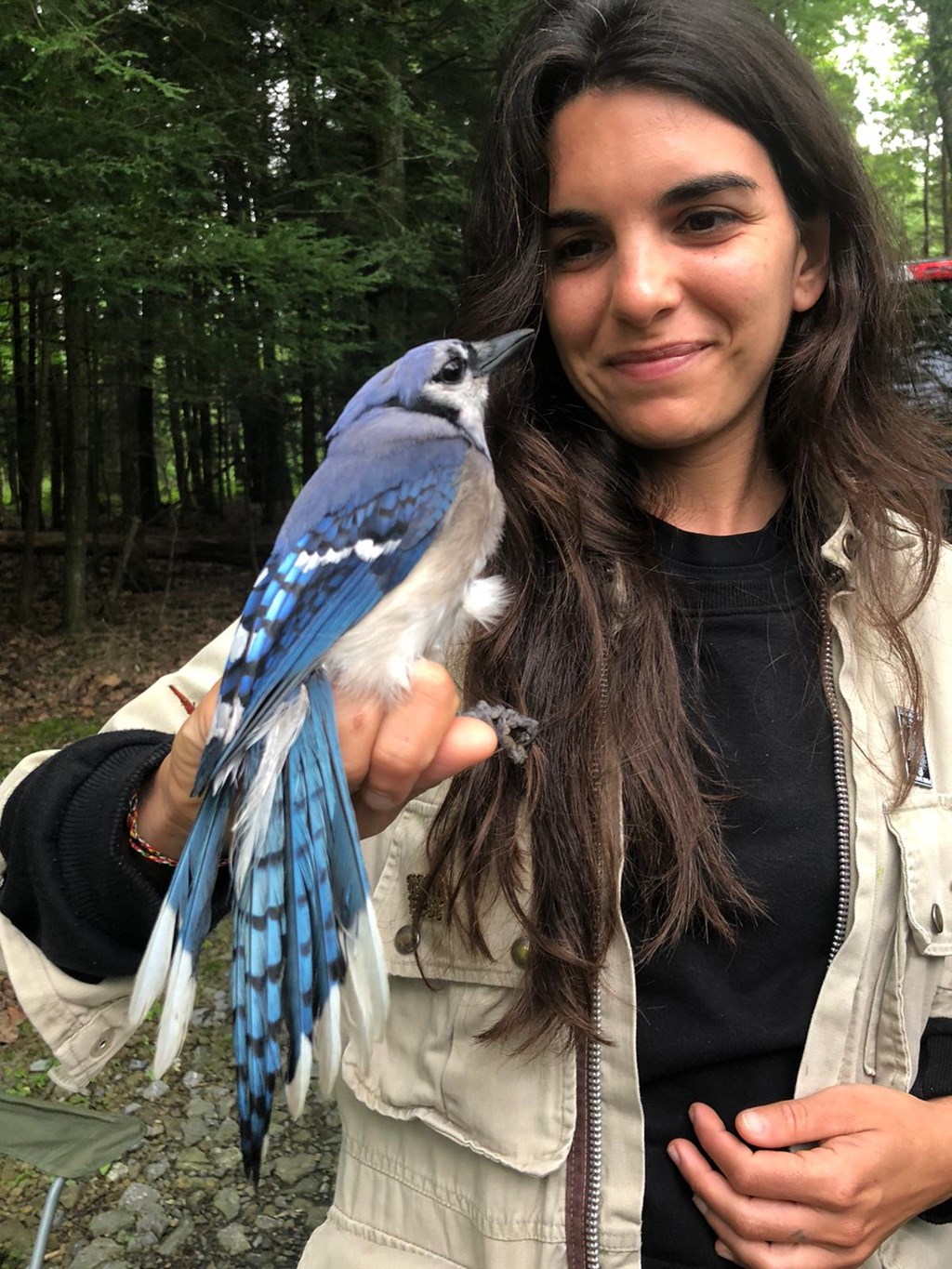 Tamara Russo with banded bluejay