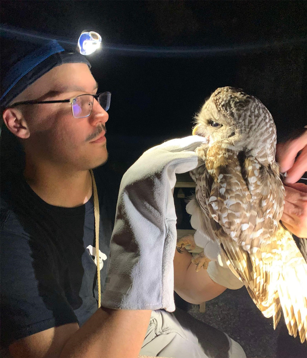 Thierry Grandmont examining a Barred Owl Thierry Grandmont examining a Barred Owl