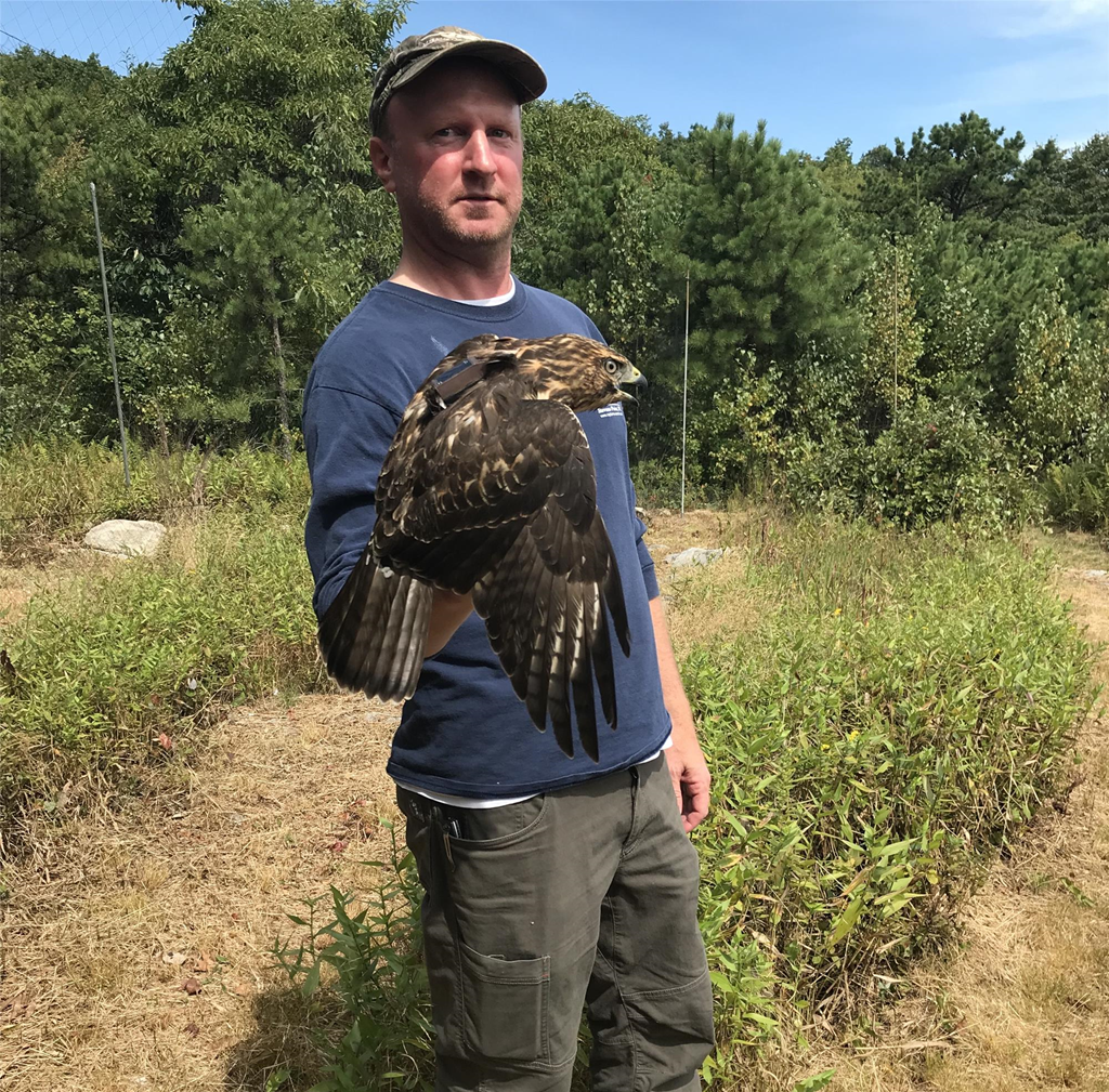 Timothy McGuire, Raptor Field Techniques Course Participant Timothy McGuire, Raptor Field Techniques Course Participant