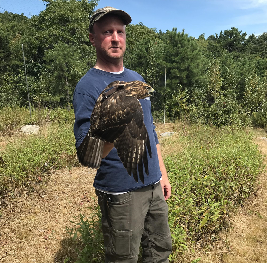 Timothy McGuire, Raptor Field Techniques Course Participant