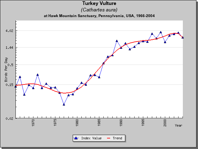 Turkey Vulture HM Sightings
