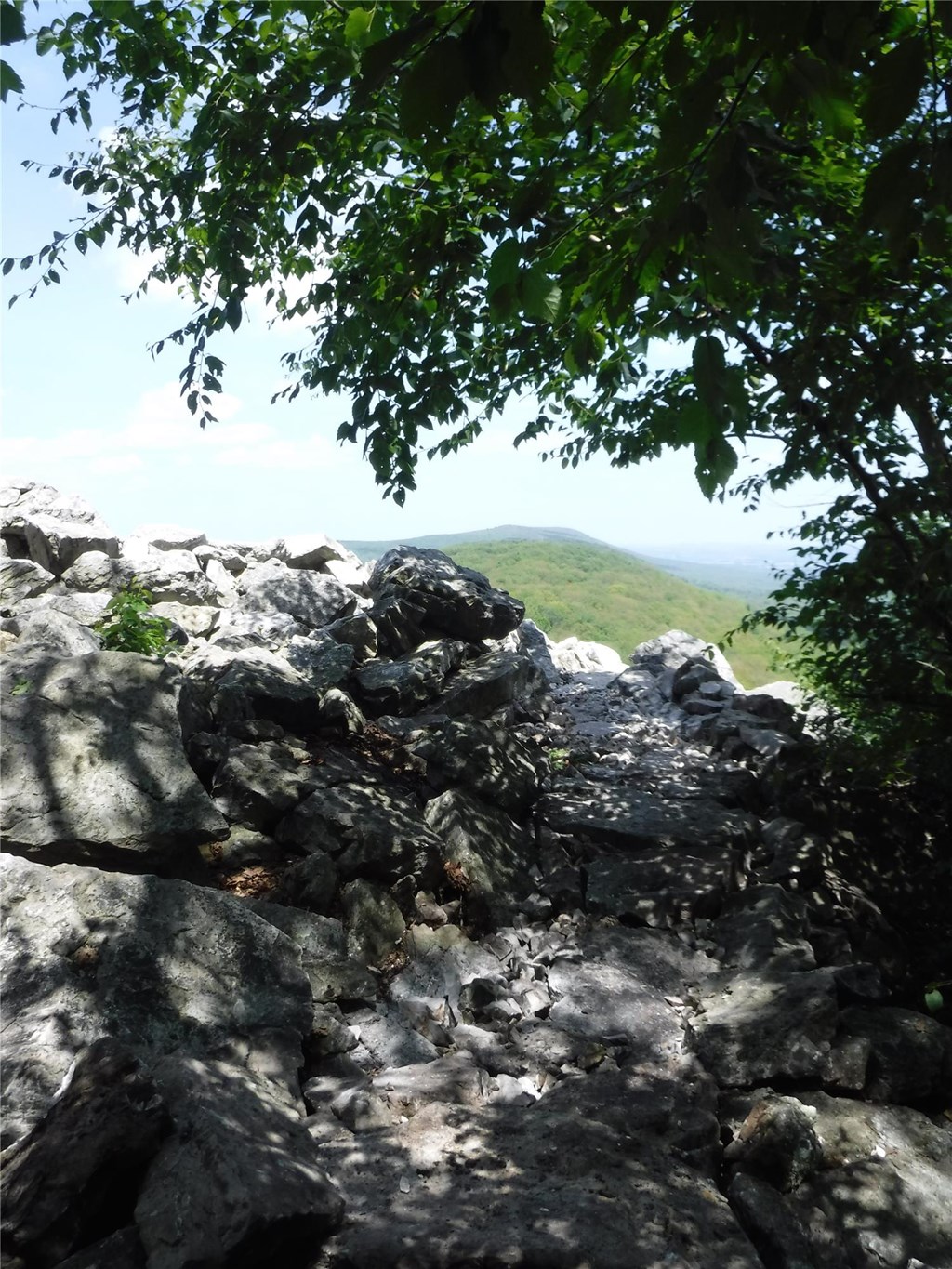 View of the Mountain through trees and boulders