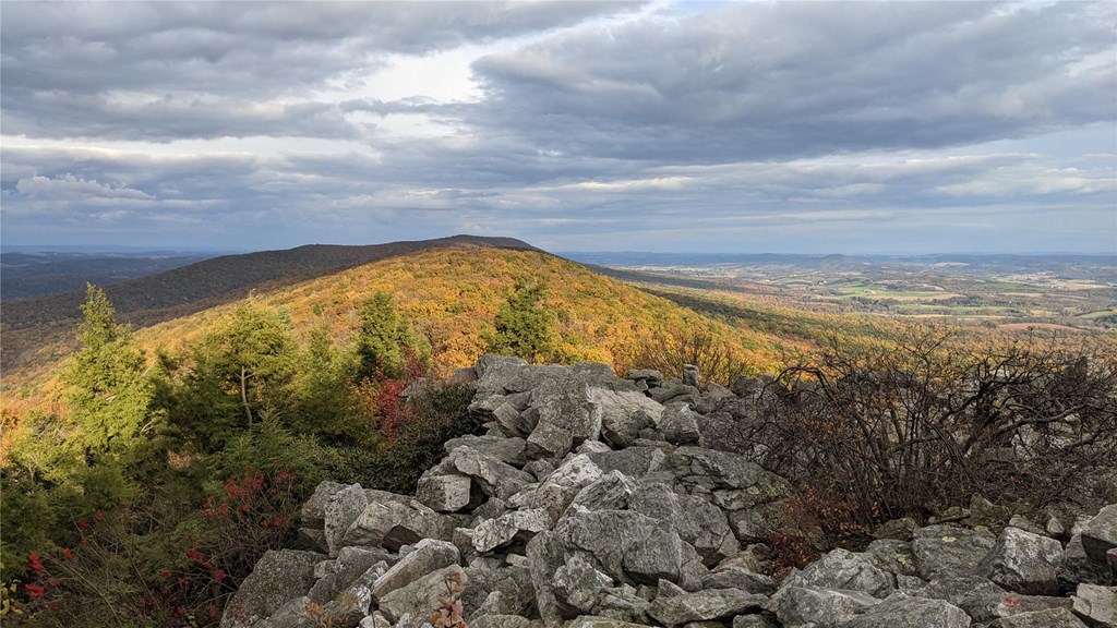 Fall Foliage at North Lookout, Vince Pacaro
