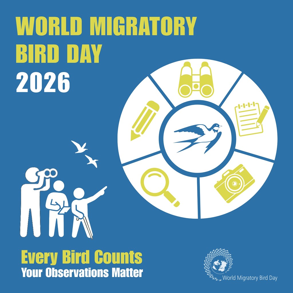 World Migratory Bird Day 2026