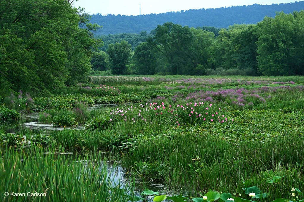 Wildwood Lake Park Wildwood Lake Park
