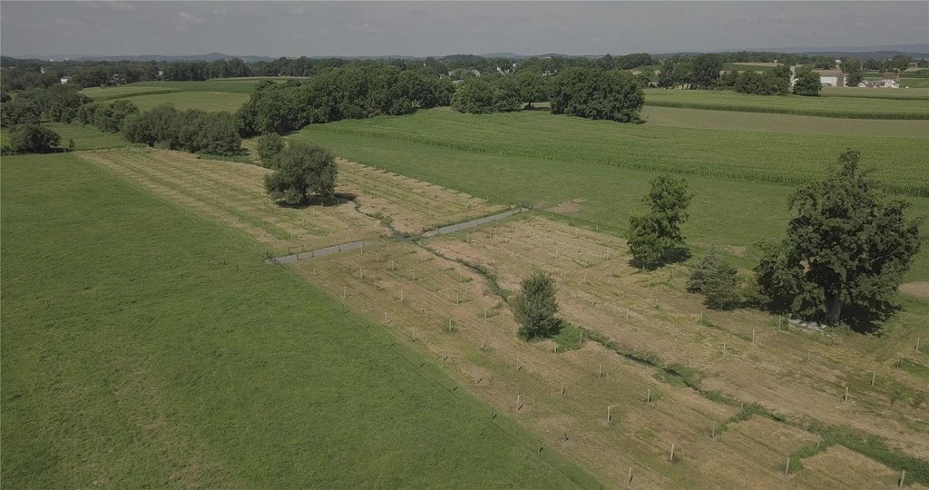 Riparian restoration in action, photo courtesy of Stroud Water Research Center