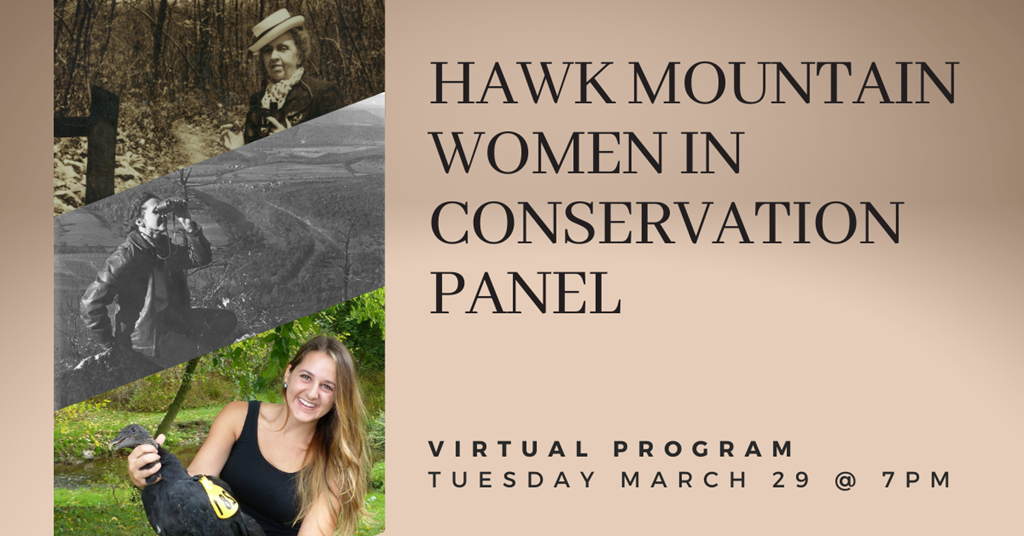 HMS Women in Conservation Panel Graphic HMS Women in Conservation Panel Graphic