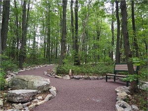 Accessible Trail