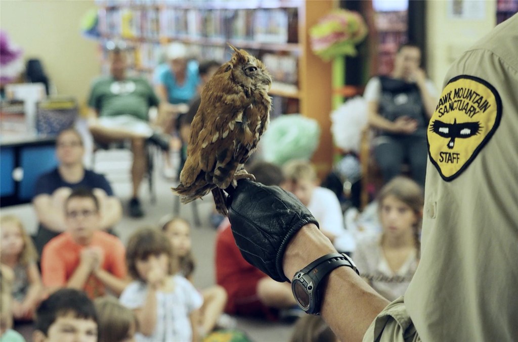 Education staff holding screech owl at an off-site program. Education staff holding screech owl at an off-site program.
