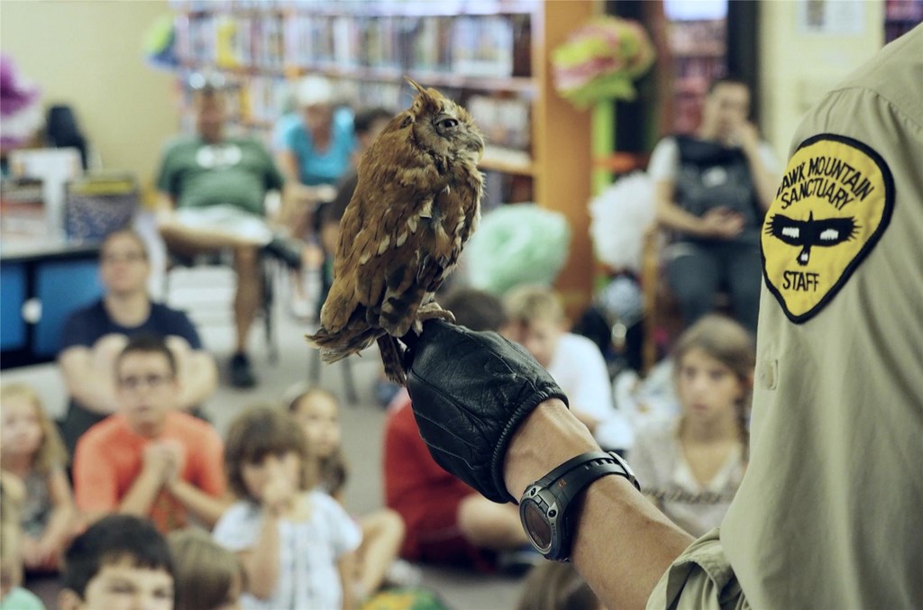 Turkey Vultures  Hawk Mountain Sanctuary: Learn Visit Join