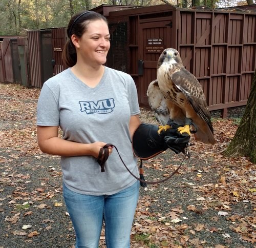 Adhel with Redtail