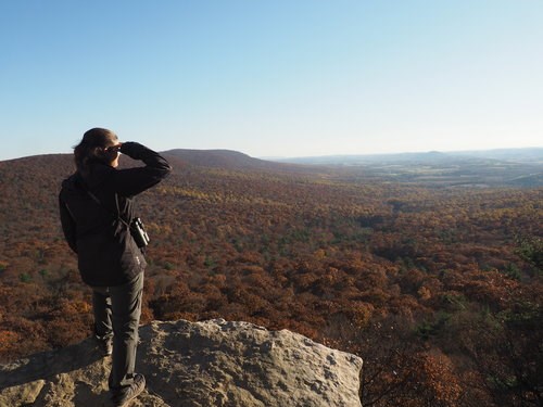 Adehl South Lookout