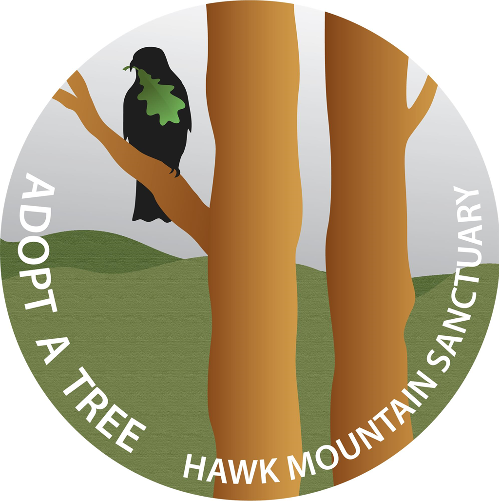 Adopt a Tree Logo Adopt a Tree Logo