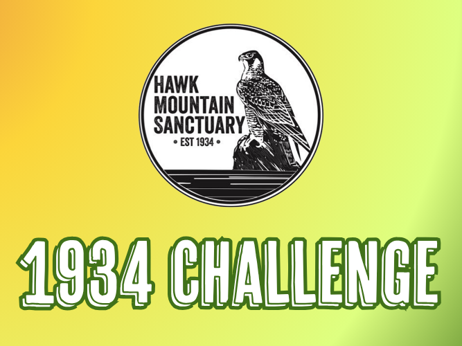 1934 Challenge