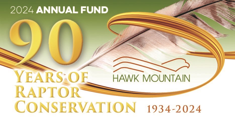 Annual Fund 2024 Graphic
