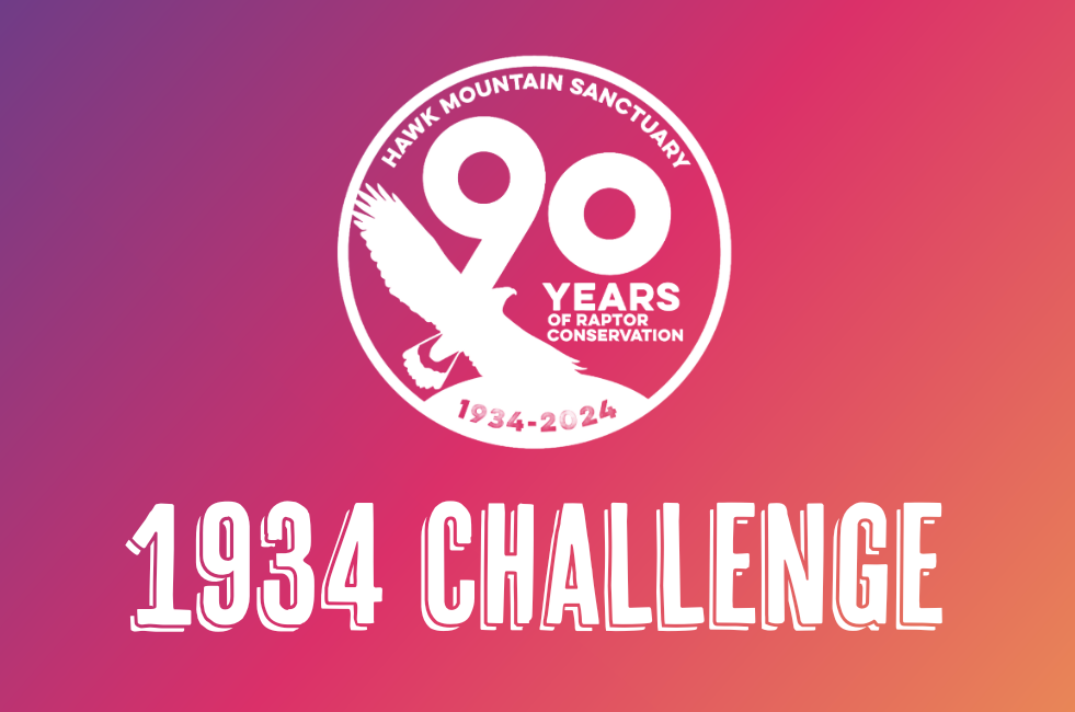 1934 Challenge Graphic 1934 Challenge Graphic