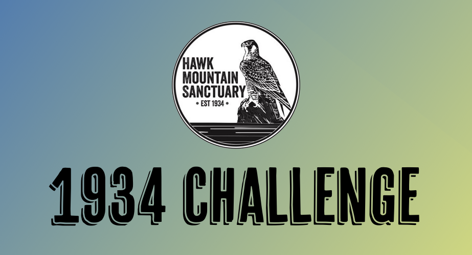 1934 Challenge Graphic