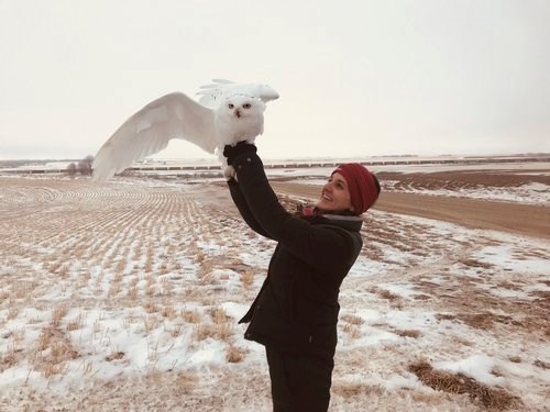 Rebecca and a Tagged Snowy Owl Becca with a recently trapped and tagged snowy owl right before release.