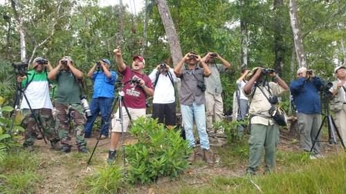 Hawkwatchers at Belize Bird Conservancy watch site Hawkwatchers at Belize Bird Conservancy watch site