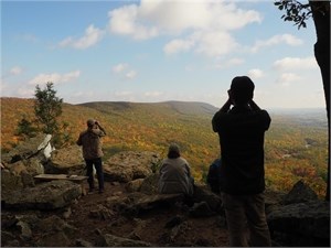 Best Birding Spot