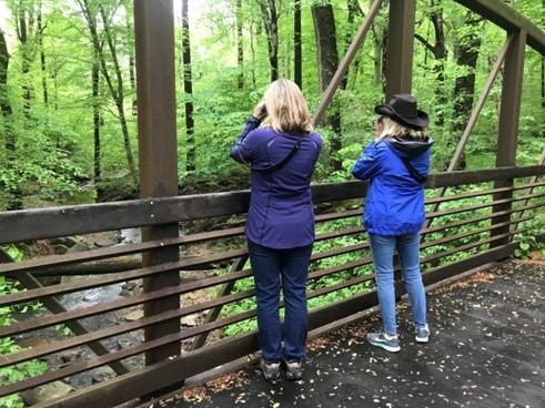 Basic Birding Skills Webinar Basic Birding Skills Webinar