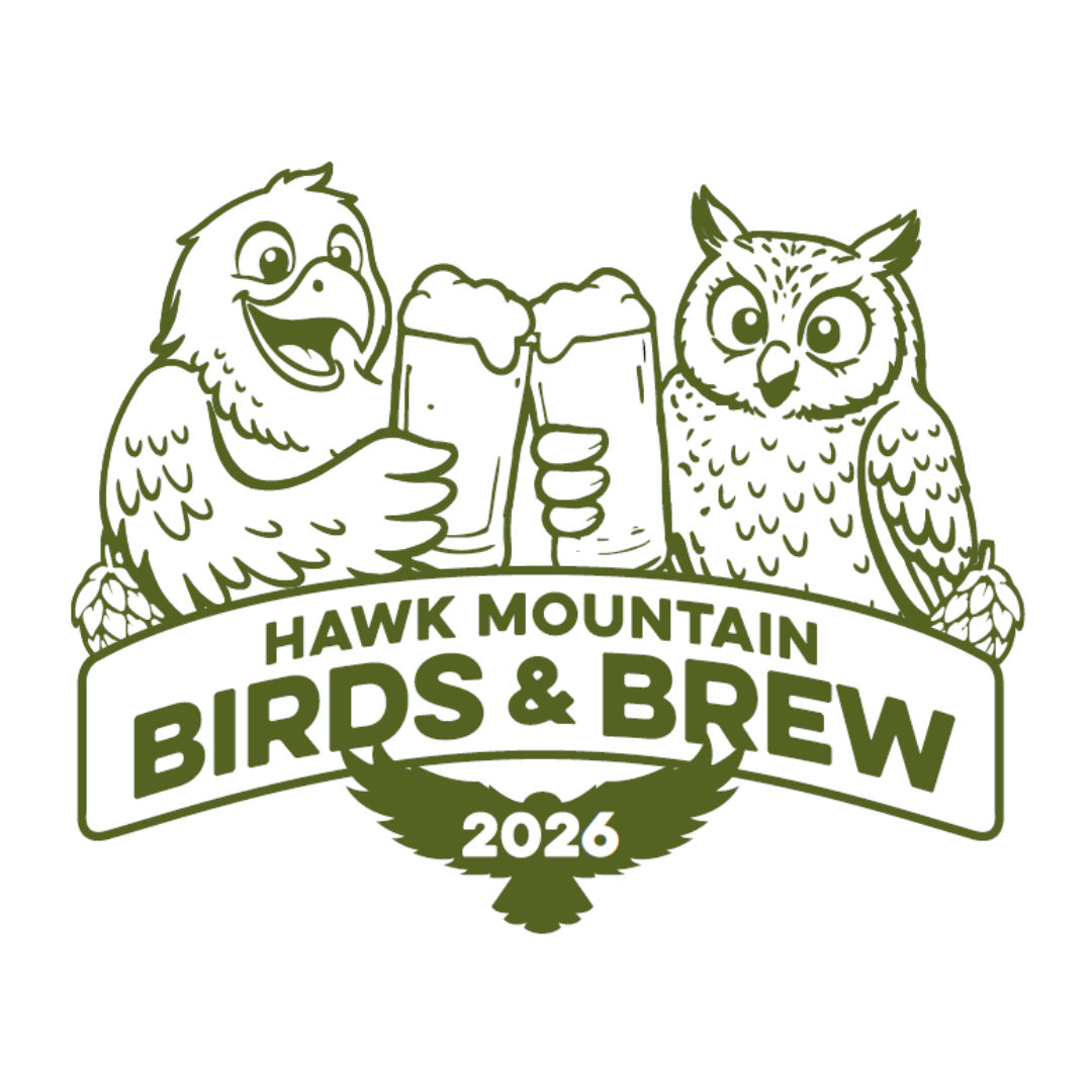 Birds & Brew