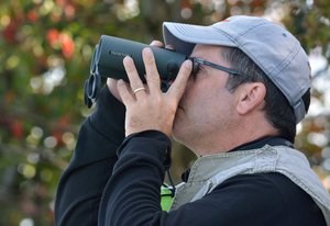 birdwatching birdwatching