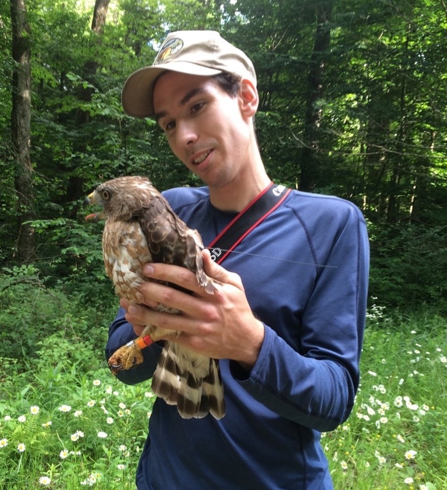 Zach Bordner with Tagged Broad-winged Hawk Zach Bordner with Tagged Broad-winged Hawk