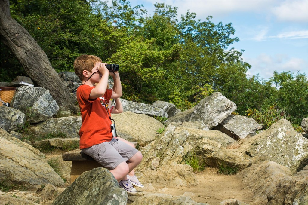 Young boy uses binoculars at South Lookout to locate passing birds.