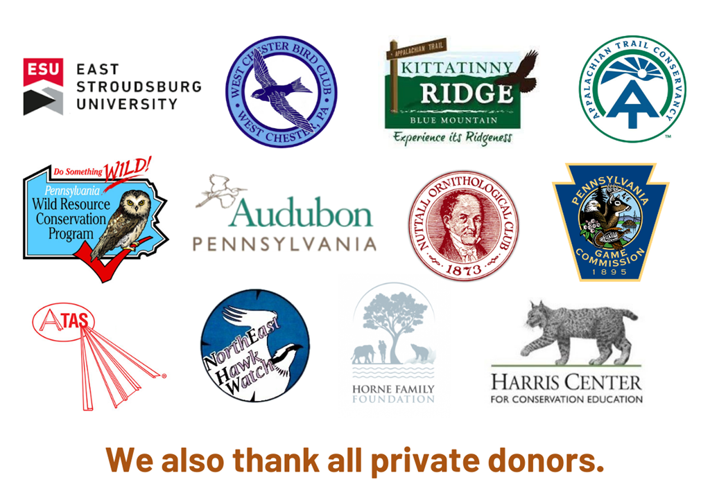 Broad-winged Hawk Project Supporters Broad-winged Hawk Project Supporters