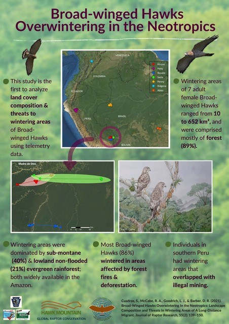 Broad-winged Hawks Overwintering in the Neotropics infographic