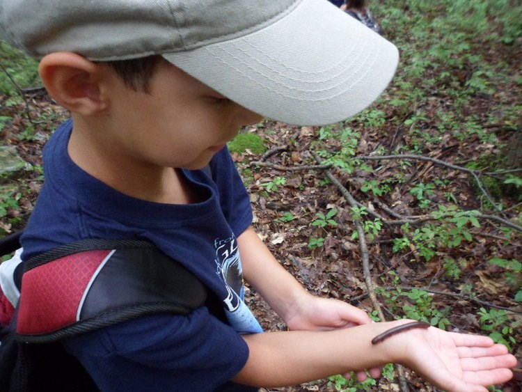 Bug on Kid's Arm Bug on Kid's Arm