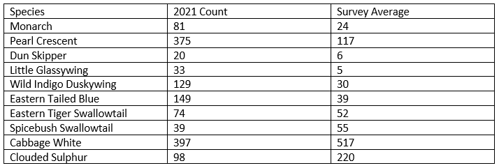 Butterfly Census 2021