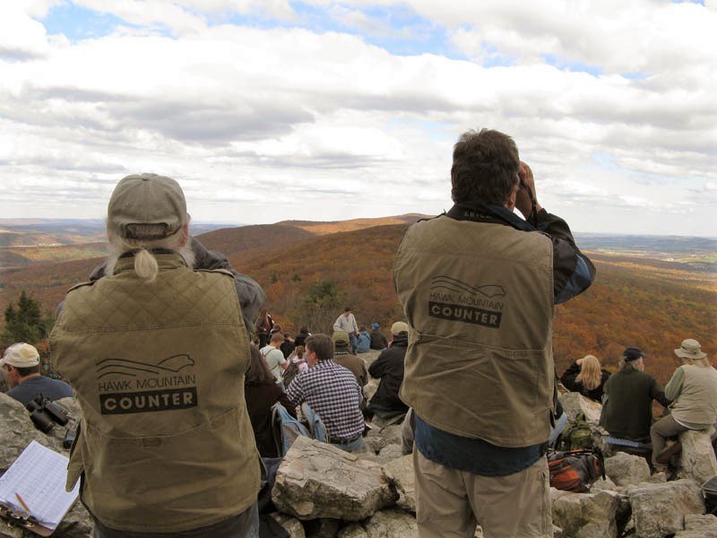 HMS Counters at North Lookout in Fall Hawk Mountain Counters look out over North Lookout mountain landscape.
