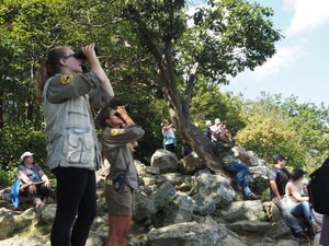 christine south lookout Christine and a fellow trainee identify passing raptors for visitors at South Lookout