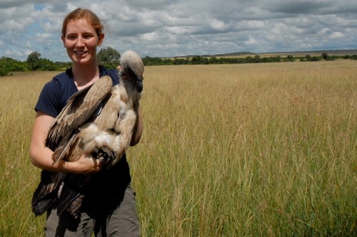 Corinne Kendall with vulture Corinne Kendall