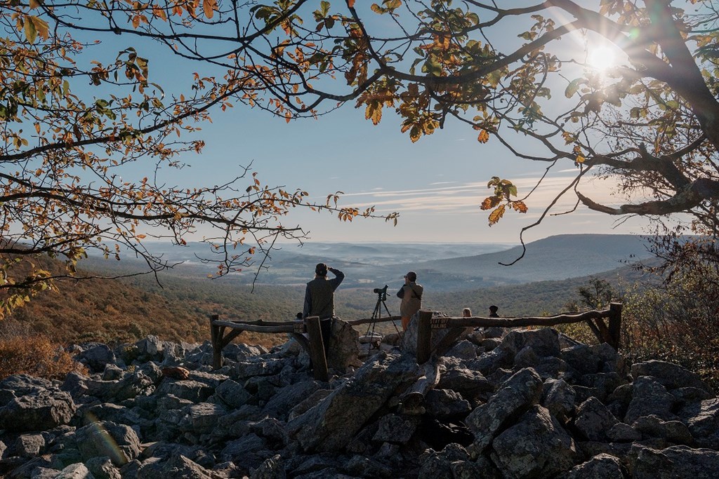 Counters in the Pit at North Lookout, by Katie Orlinsky, Wildpath