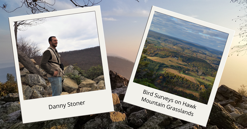 Danny and Bird Surveys on Hawk Mountain Grasslands