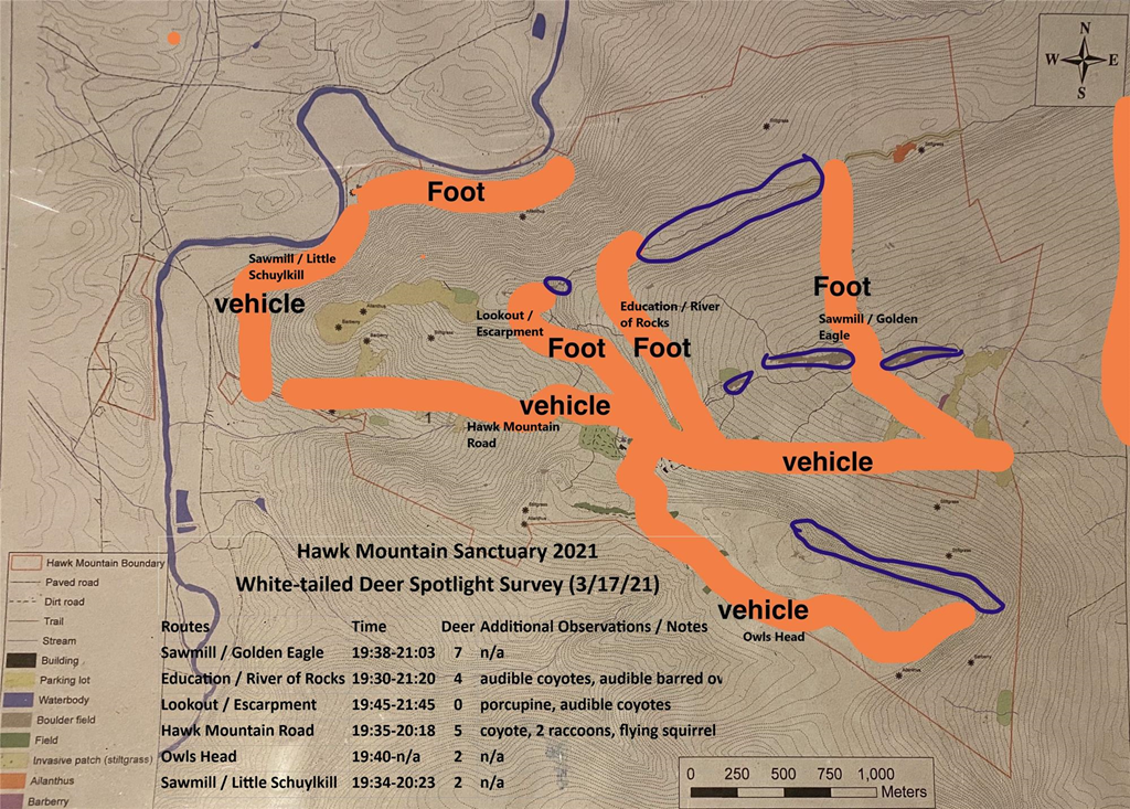 HMS 2021 Deer Survey HMS 2021 White-tailed Deer Spotlight Survey