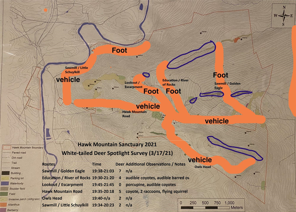 HMS 2021 White-tailed Deer Spotlight Survey