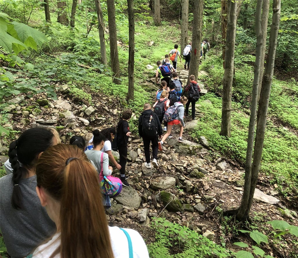 Guided Hike Students hiking on a forest trail